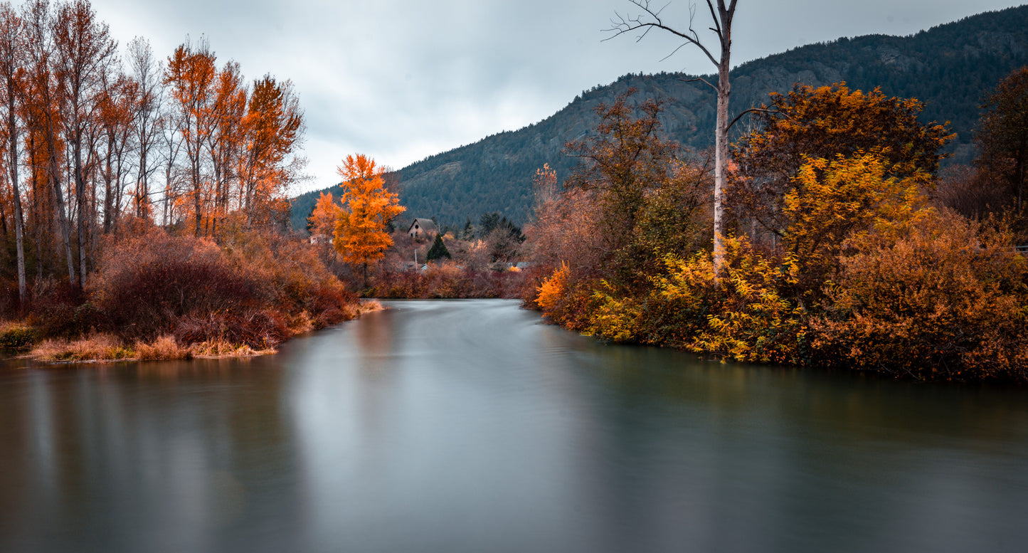 Autumn River
