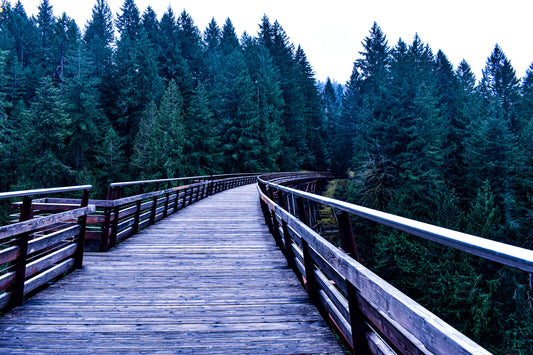 Trestle 3